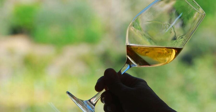 Manarola: Cinque Terre Wine Tasting - Key points at a glance