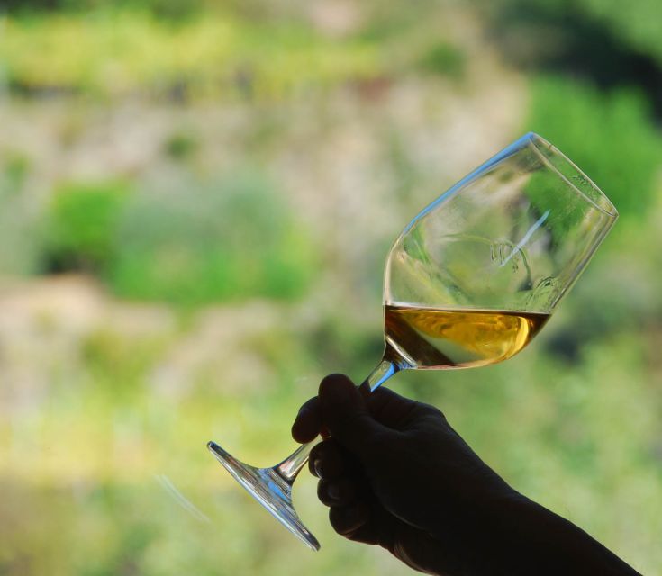 Manarola: Cinque Terre Wine Tasting - Three Cinque Terre wines, one compact tasting