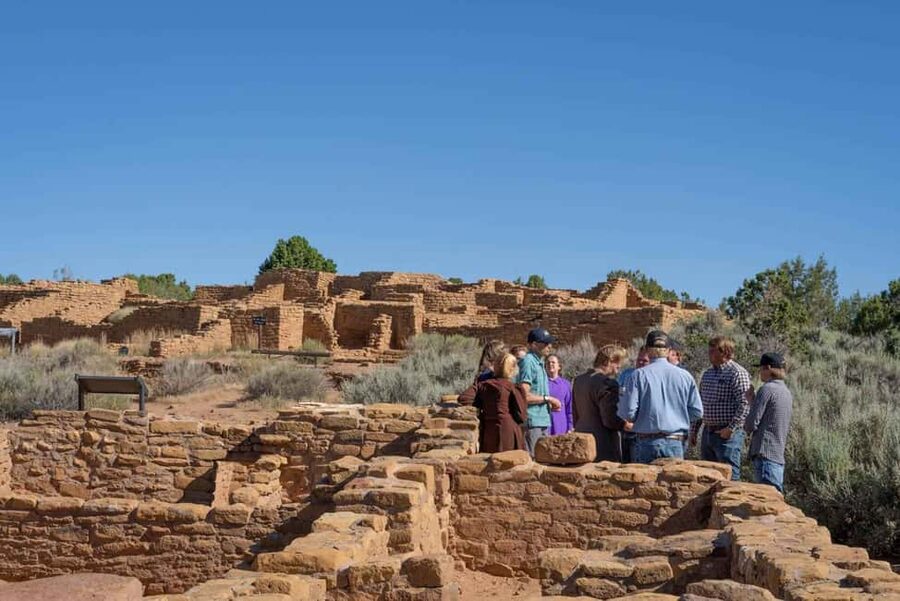 Mancos: Mesa Verde National Park Half-Day Tour - Why Mesa Verde works so well with a guide