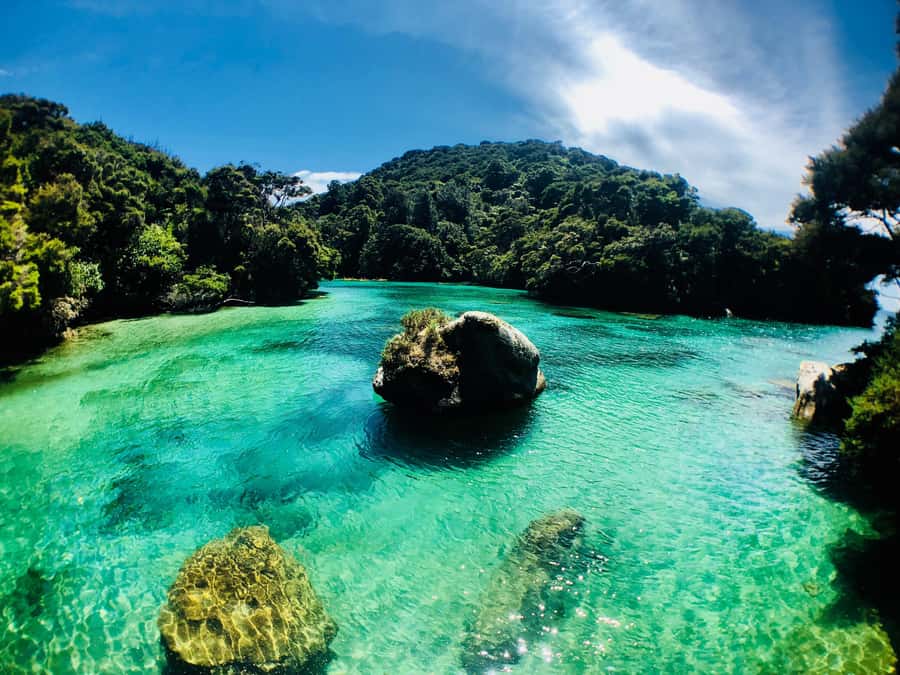 Mārahau: Abel Tasman Marine Reserve Kayak Tour - Why Tonga Island is the heart of the day