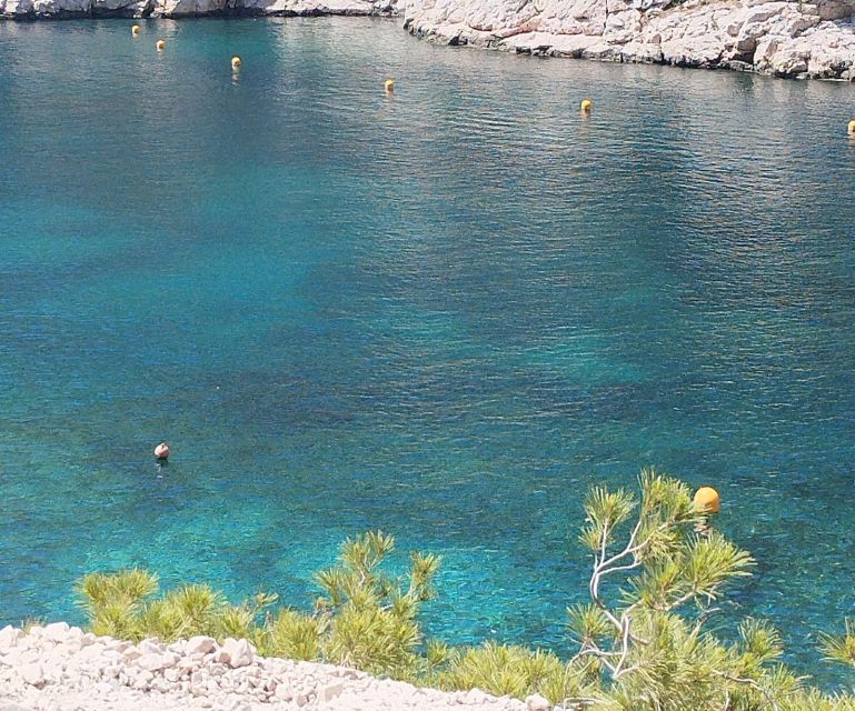Marseille: Guided Hiking Calanques National Park from Luminy - Who should book this outing