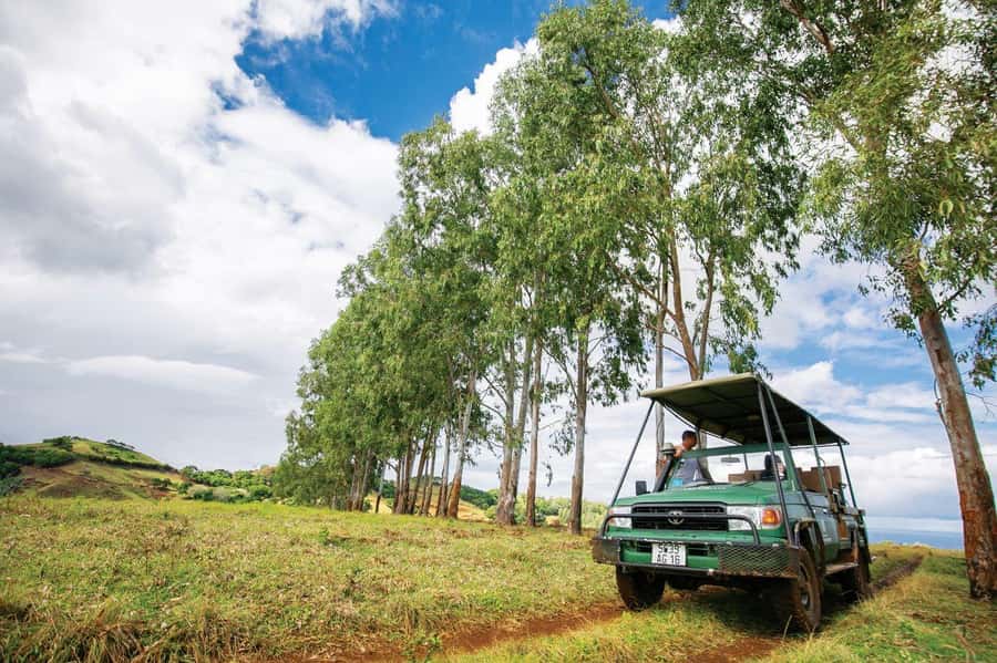 Mauritius: Bel Ombre Nature Reserve 4x4 Safari Adventure - Key points at a glance