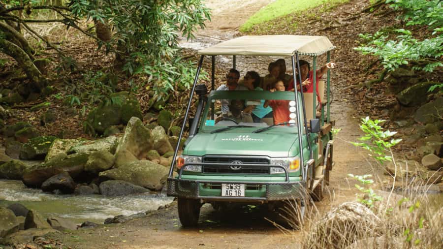 Mauritius: Bel Ombre Nature Reserve 4x4 Safari Adventure - The 4x4 ride through open country
