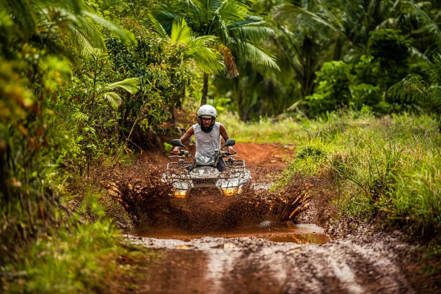 Mauritius: Bel Ombre Nature Reserve Quad Bike Tour - Forest trails, puddles, and changing scenery