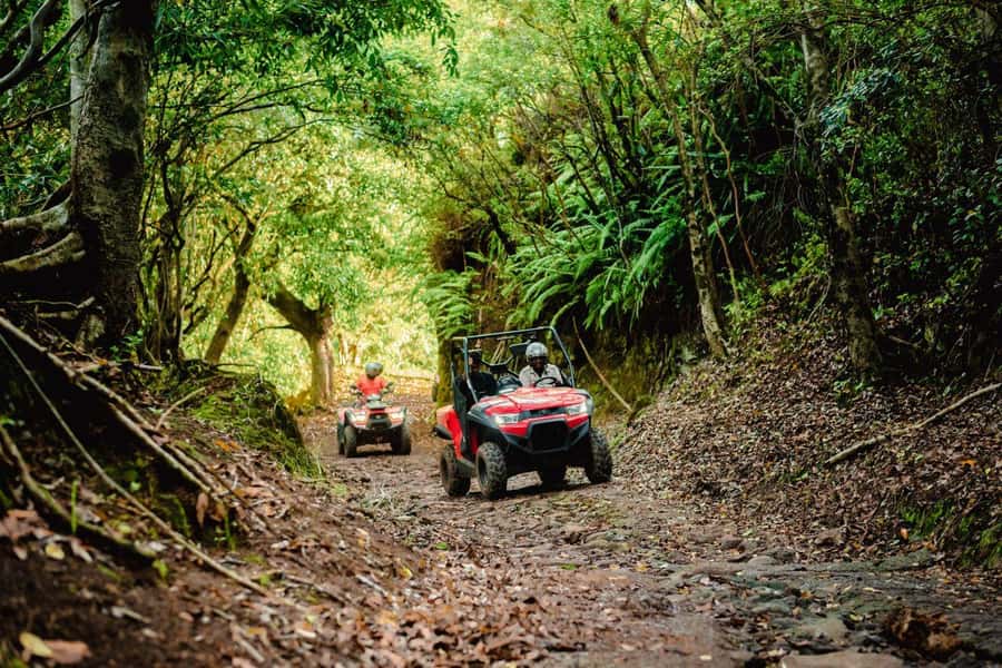 Mauritius: Bel Ombre Nature Reserve Quad Bike Tour - Who should book, and who should skip it