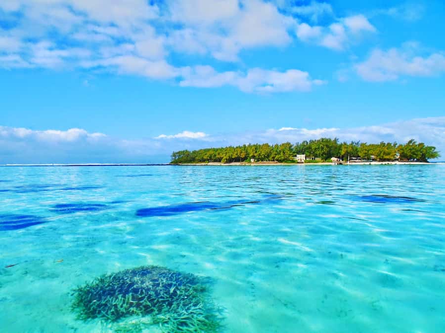 Mauritius: Ile aux Aigrettes Nature Reserve with Boat Ride - Key points to know before booking