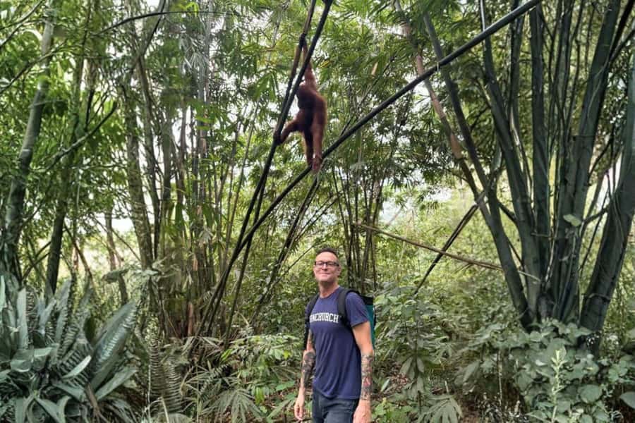 Medan: Mount Leuser National Park Full-Day Trip - Key points at a glance