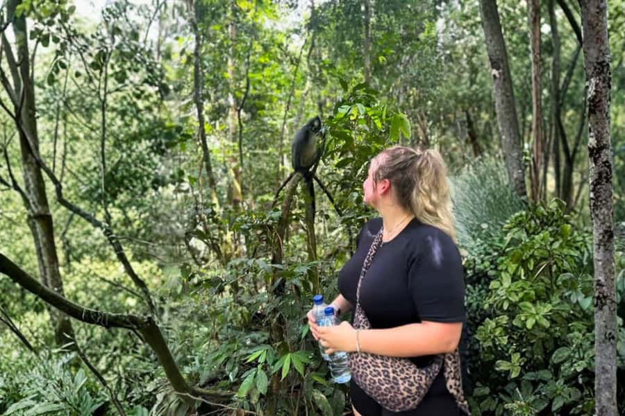 Medan: Mount Leuser National Park Full-Day Trip - The return to Medan and the real time cost
