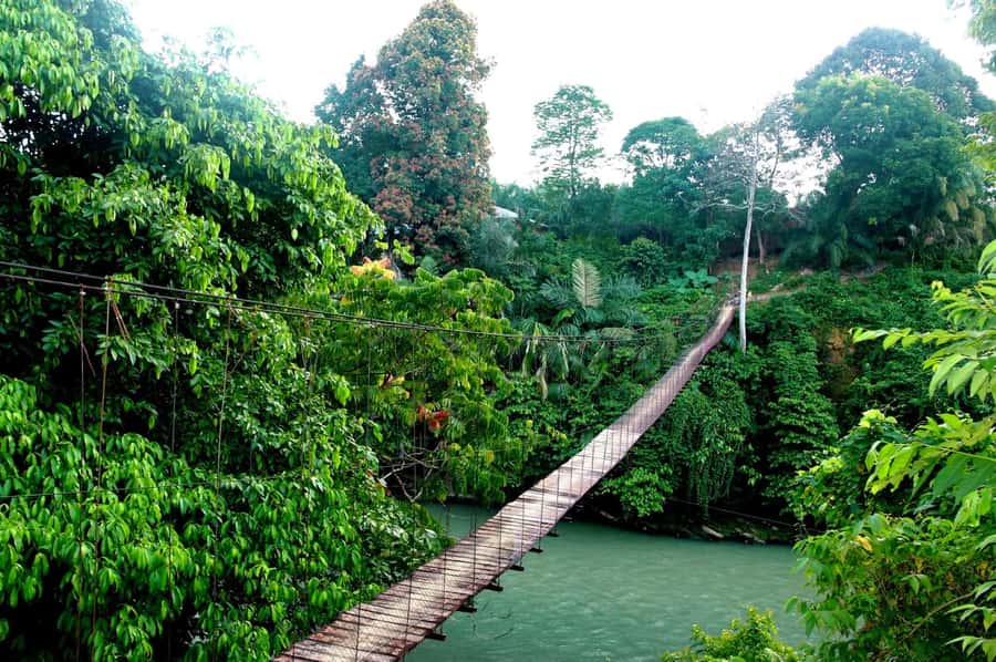 Medan: Mount Leuser National Park Full-Day Trip - Is $129 a fair price?