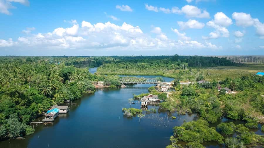 Medan: Mount Leuser National Park Full-Day Trip - Who should book this day trip?