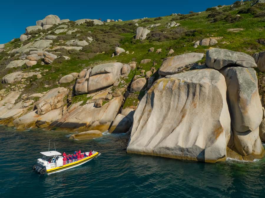 Melbourne: Wilsons Promontory Morning Wilderness Cruise - Key points to know before you book