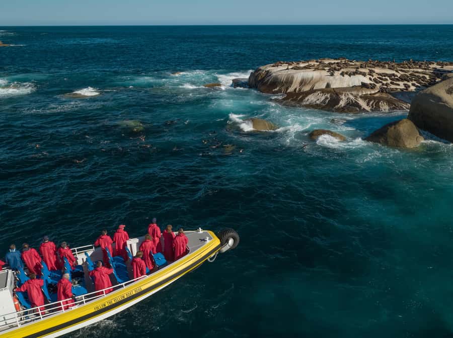 Melbourne: Wilsons Promontory Morning Wilderness Cruise - A wild introduction to Wilsons Promontory from the water