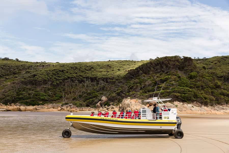 Melbourne: Wilsons Promontory Morning Wilderness Cruise - Wildlife is a possibility, not a promise