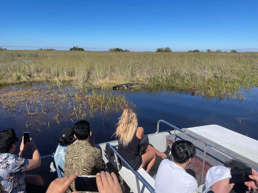 Miami: Everglades Airboat & Animal Sanctuary Tour with Photo - The airboat: your first real look at the Everglades