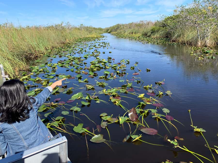 Miami: Everglades Airboat & Animal Sanctuary Tour with Photo - Who should choose this tour
