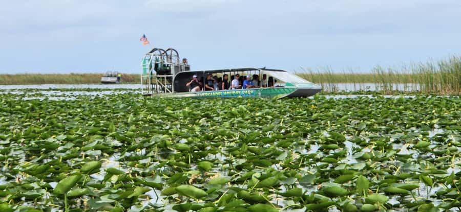 Miami: Everglades Airboat, Gator Encounter & Bus Transfer - The 45-minute airboat ride