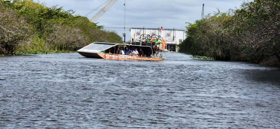 Miami: Everglades Airboat, Gator Encounter & Bus Transfer - What the Everglades setting adds