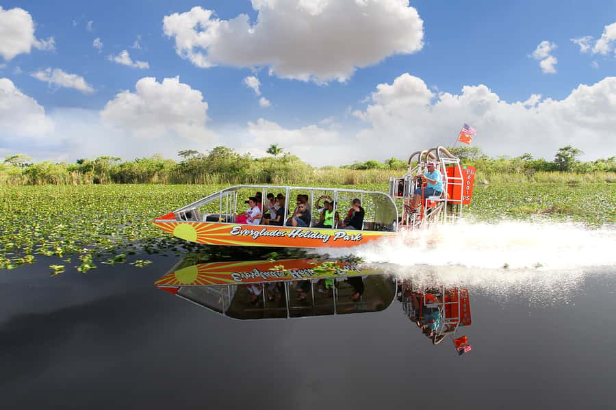 Miami: Everglades Experience, Bay Cruise & Open-Top Bus Tour - Who should book this Miami combination?