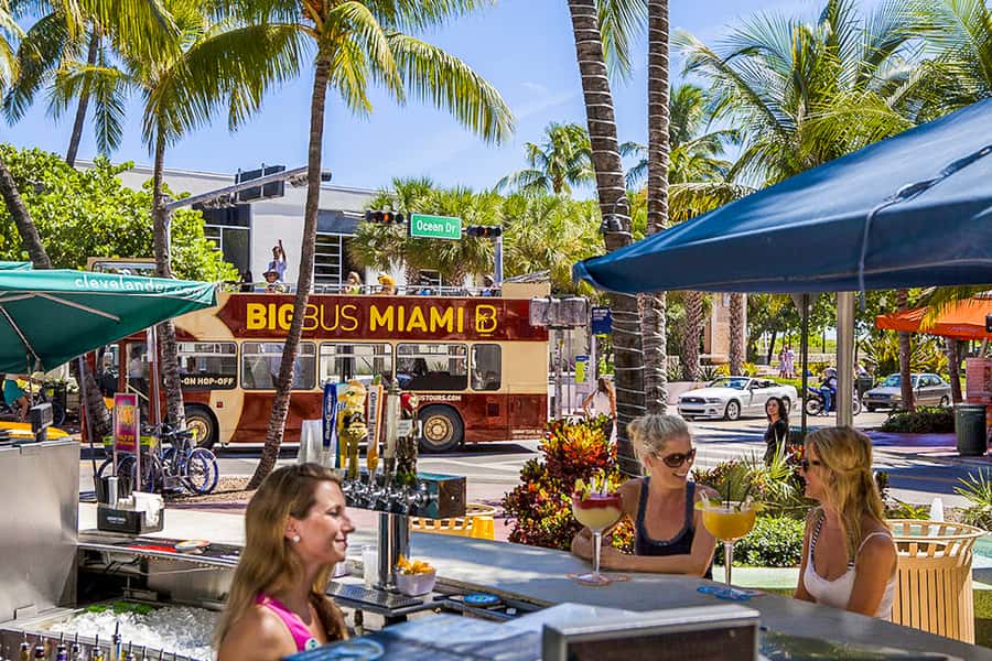 Miami: Everglades Experience, Bay Cruise & Open-Top Bus Tour - Three Miami experiences for the price of one