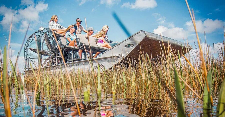 Miami: Everglades National Park Airboat Tour & Wildlife Show - Sawgrass, mangroves, and the River of Grass