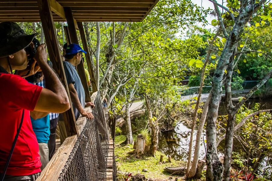 Miami: Everglades Safari Park Airboat Tour - Practical timing and meeting details