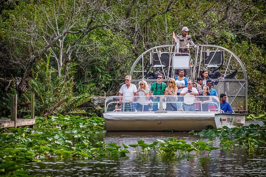Miami: Everglades Safari Park Airboat Tour - The jungle trail and observation platform
