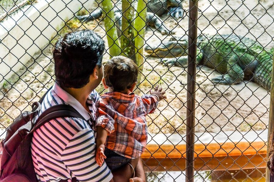 Miami: Everglades Safari Park Airboat Tour - How long the visit really takes