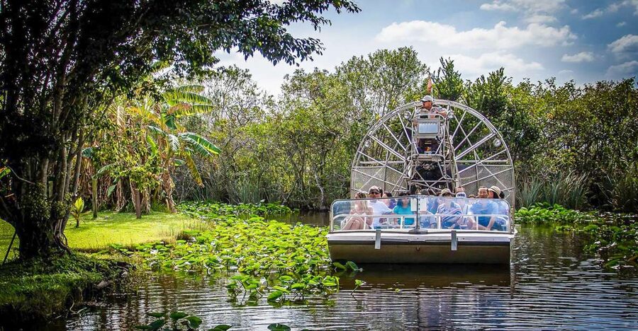 Miami: Everglades Safari Park Airboat Tour - Price, extra fees, and what you receive