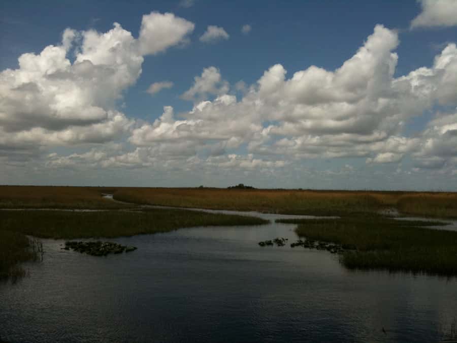 Miami: Original Everglades Airboat Tour & Interpretive area - Key points to know before you go
