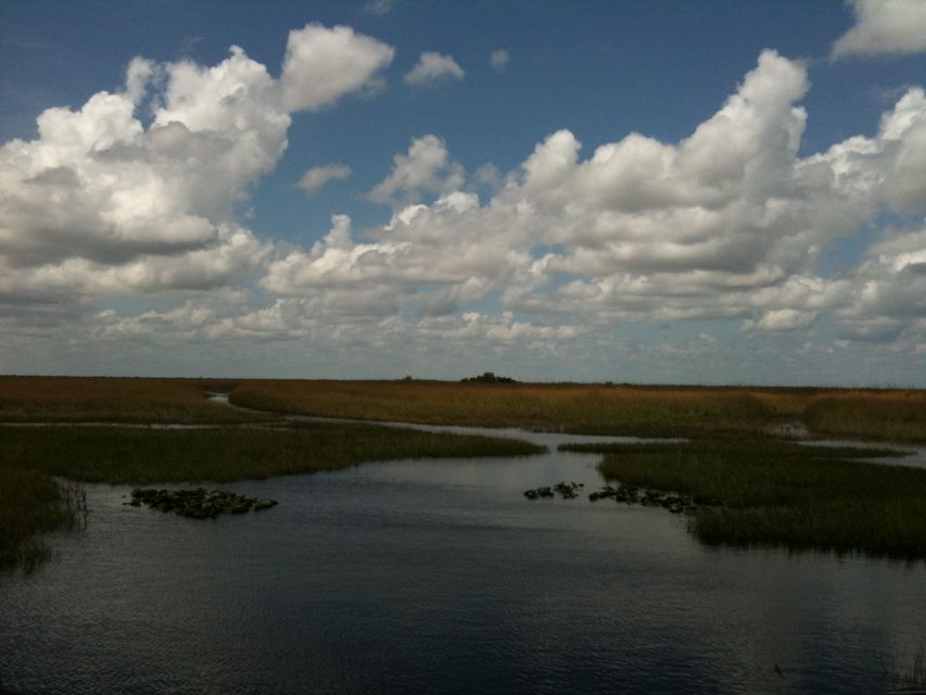 Miami: Original Everglades Airboat Tour & Interpretive area - What the guides add to the experience