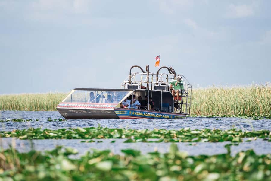 Miami: Wild Everglades Airboat Ride and Gator Encounters - From Miami Streets to Everglades Marsh