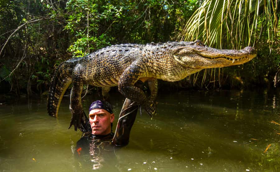 Miami: Wild Everglades Airboat Ride and Gator Encounters - Booking Tips for a Smoother Day
