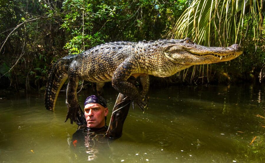 Miami: Wild Everglades Airboat Ride and Gator Encounters - Should You Book It?