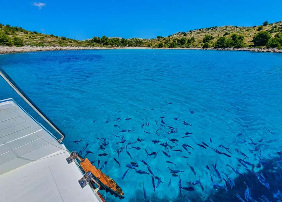 Mikado Kornati Excursion with snorkeling and hiking stops - The boat ride is part of the experience