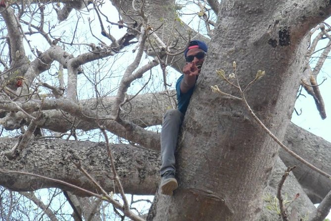 MIKUMI NATIONAL PARK - 3 Days - Who should book this Mikumi trip?
