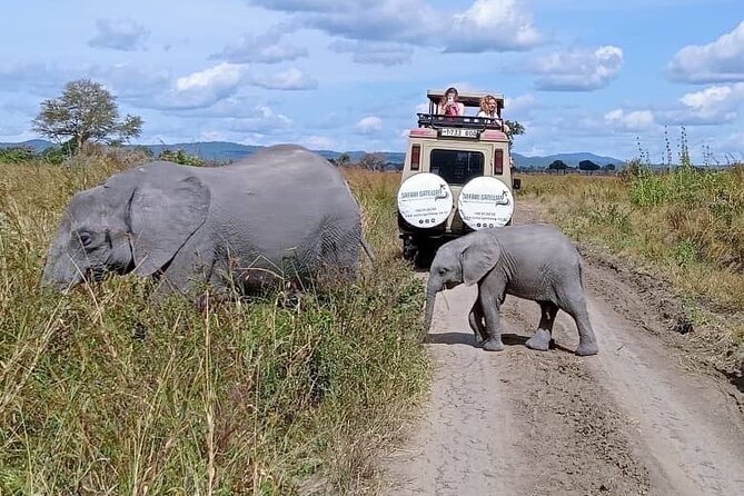 Mikumi Safari Tour: Day Trip Return Flight From Zanzibar - Why Mikumi Works as a Zanzibar Day Trip