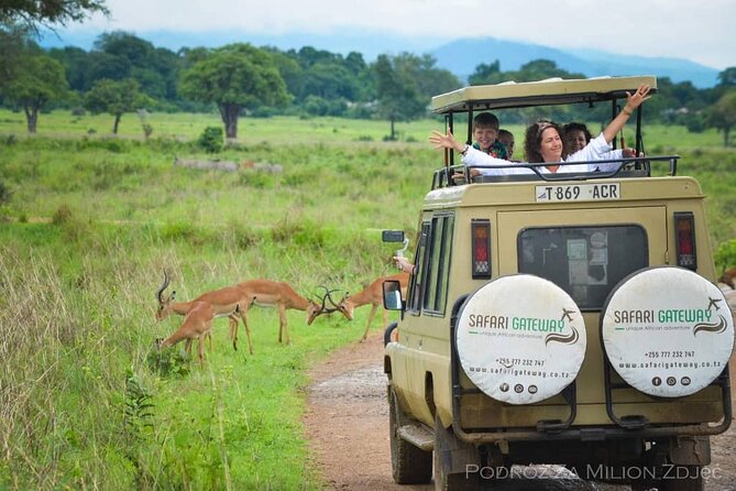 Mikumi Safari Tour: Day Trip Return Flight From Zanzibar - What the $600 Price Means