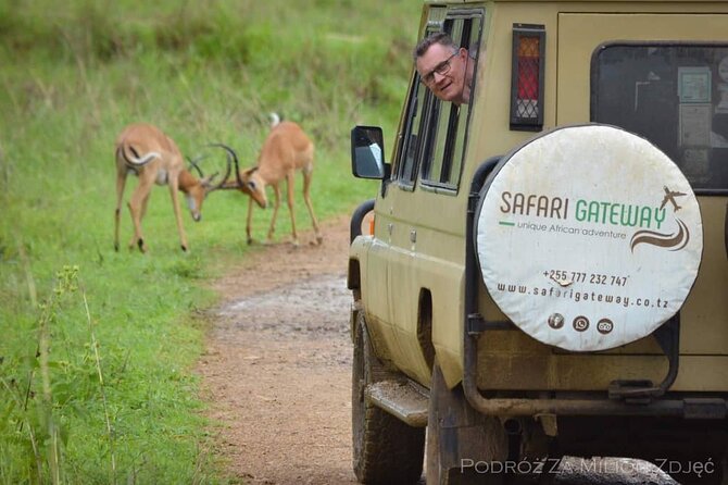 Mikumi Safari Tour: Day Trip Return Flight From Zanzibar - Is the Mikumi Day Trip Worth Booking?