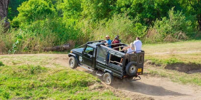 Minneriya: Minneriya National Park Private Safari - What to bring and what to expect
