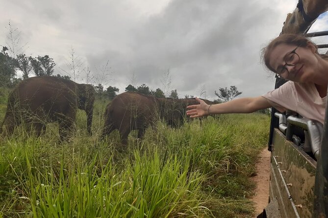 Minneriya National Park Elephant Jeep Safari Private Tour - Why Minneriya is famous for elephants