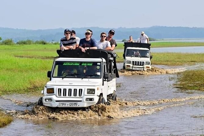 Minneriya National Park halfday Safari - The three to four hour Jeep outing