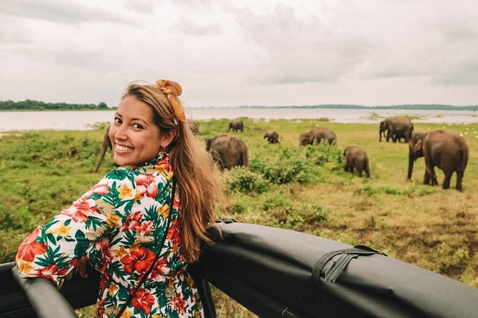 Minneriya National Park | Private Safari - What to bring and what to check