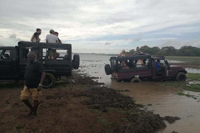 Minneriya National Park Safari - Private Jeep with Hotel Pickup - What else you might see beside elephants