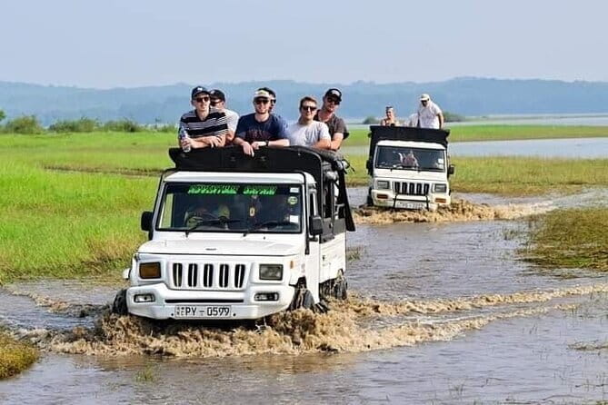 Minneriya National Park Safari - Private Jeep with Hotel Pickup - What to ask before you confirm