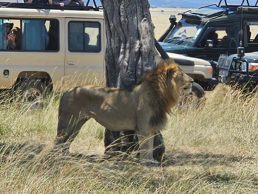 Mombasa: Tsavo East National Park Day Trip with Lunch - Lunch is useful, but confirm where it happens