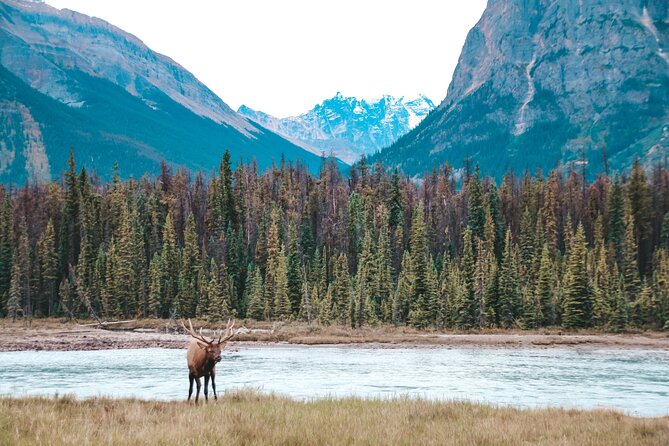 Moraine Lake, Lake Louise & Banff Secrets | Award-Winning Tour - What guides do well, and where the experience varies