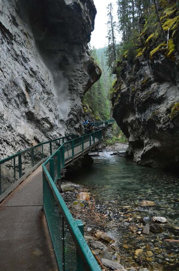 Moraine Lake Louise Emerald Johnston Canyon Banff Yoho Tour - The Guides Often Shape the Day