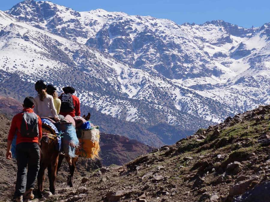 Mount Toubkal Trek 2 Days & 1 Night - Who should choose this two-day summit trip
