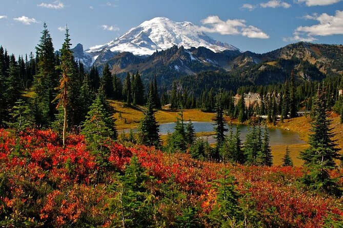 Mt. Rainier National Park Highlights Tour - Why this is a good Seattle day trip