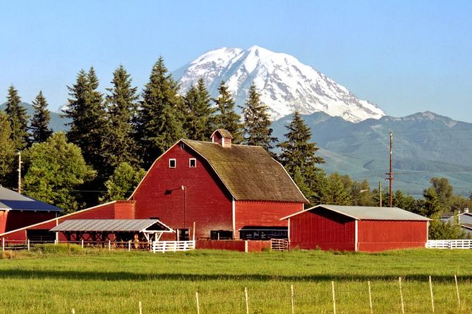 Mt. Rainier National Park Highlights Tour - Paradise is the main event